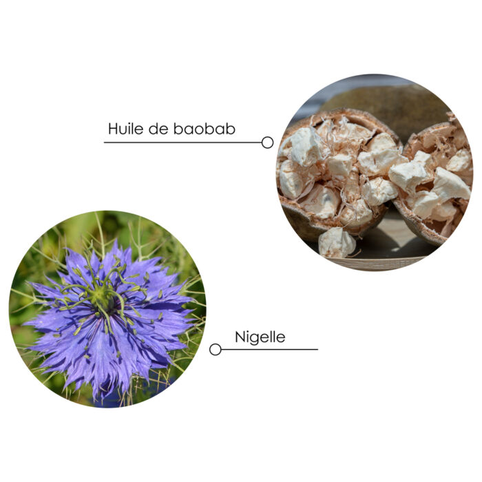 ingrédients bréslien 3