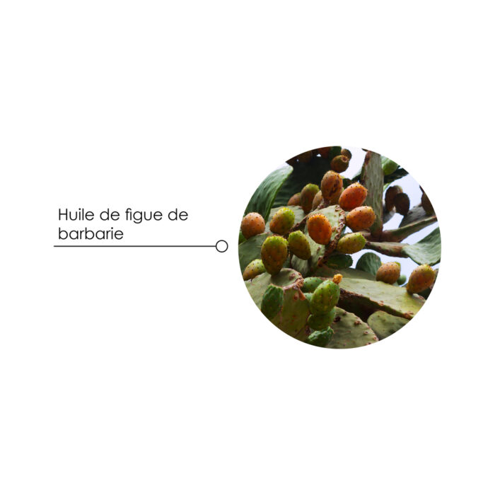 ingrédient lamination hair ingrédient lamination hair