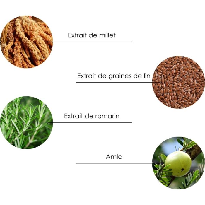 ingredients apres shp frizz and dry 2