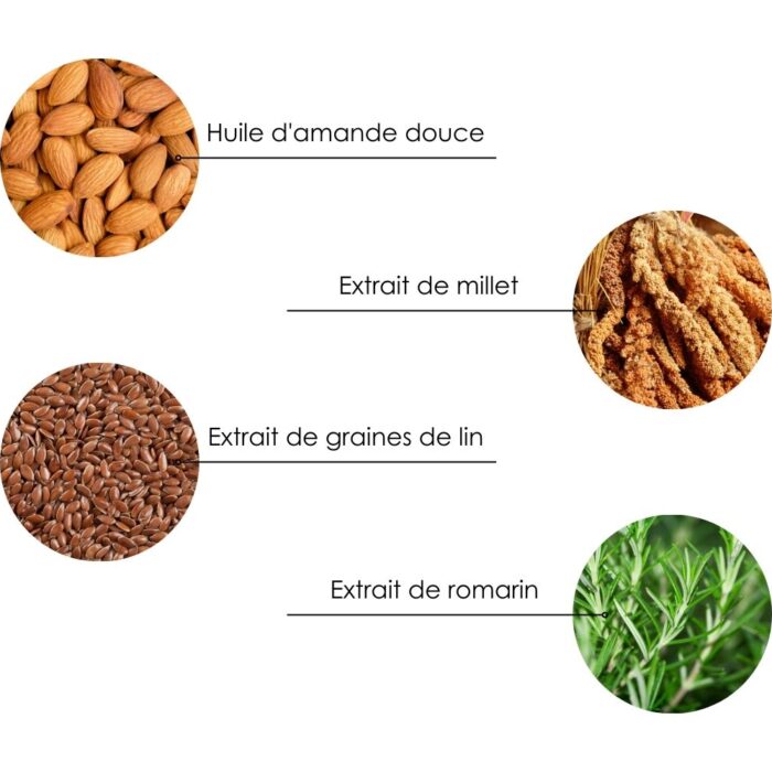 ingredients shp frizz and dry 2