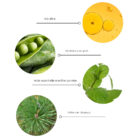 ingredients grow